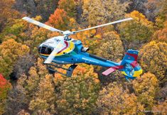 อื่นๆ 5 Niagara Fallsview Hotel & Suites