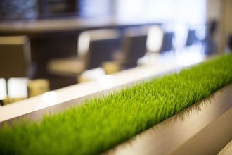 기타 4 Courtyard by Marriott North Seattle/Lynnwood