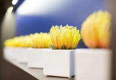 기타 2 Courtyard by Marriott North Seattle/Lynnwood