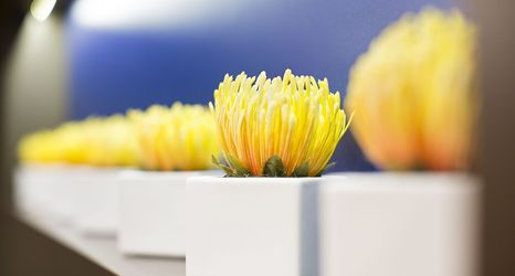 기타 2 Courtyard by Marriott North Seattle/Lynnwood