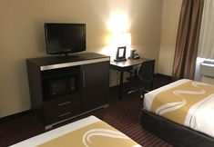 기타 3 Quality Inn Schenectady - Albany