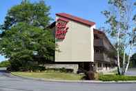 Lainnya Red Roof Inn Syracuse