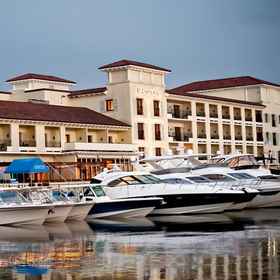 Primary image1Delamar Greenwich Harbor,诺伊伯格艺术博物馆飯店