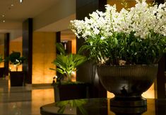 อื่นๆ 2 Sheraton Miyako Hotel Osaka