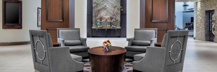 其他 Sheraton DFW Airport Hotel