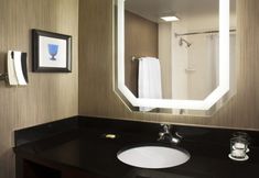 其他 2 Sheraton DFW Airport Hotel