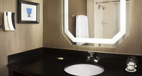 其他 2 Sheraton DFW Airport Hotel