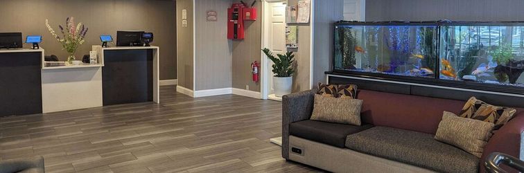 Others Quality Inn & Suites Northampton - Amherst