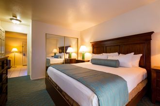 Others 4 Channel Island Shores