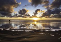 其他 2 Best Western Plus Ocean View Resort