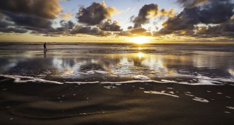 其他 2 Best Western Plus Ocean View Resort