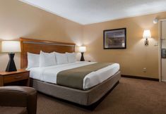 その他 7 SureStay Plus by Best Western Covington