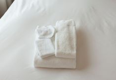 อื่นๆ 5 Hotel Nikko Princess Kyoto