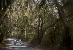 其他 4 The Ritz-Carlton, Amelia Island