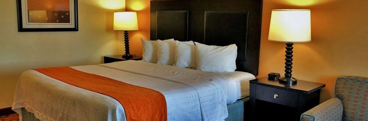 其他 Lux Hotel & Spa, Trademark Collection by Wyndham