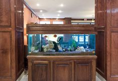 その他 6 Comfort Inn & Suites Houston Key-Katy