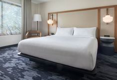 Others 6 Fairfield Inn Marriott Rochester Airport