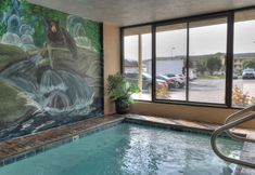 기타 2 Comfort Inn & Suites At Dollywood Lane