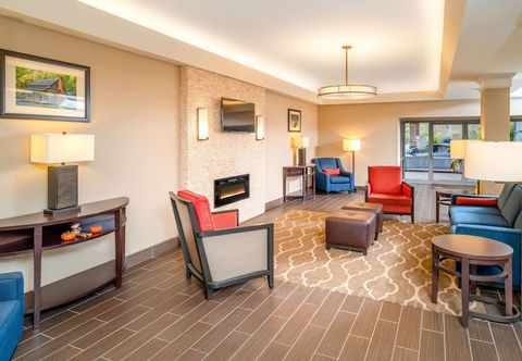 Others Comfort Inn & Suites