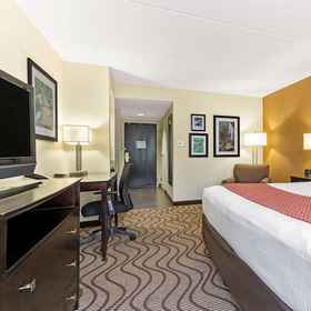 Room 6 La Quinta Inn & Suites by Wyndham Tampa North I-75, 탬파 호텔