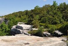 其他 2 Days Inn by Wyndham Wurtsboro