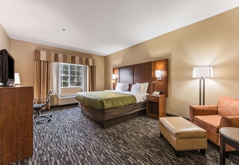 Lainnya Quality Inn & Suites Hendersonville - Flat Rock