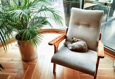 その他 3 The Marmara Sisli