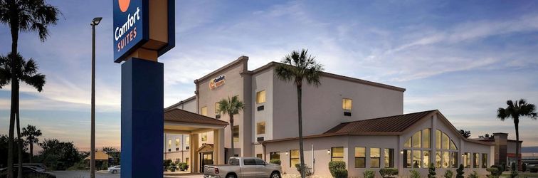 その他 Comfort Suites near Robins Air Force Base