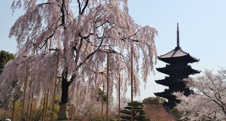 Others 2 HOTEL LiVEMAX Kyoto Gojo