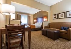 其他 4 Comfort Suites Rochester Henrietta University Area