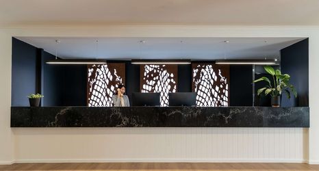 その他 2 The Leea Darwin