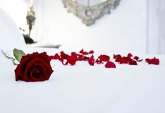 Lain-lain 6 The Stirk House Hotel