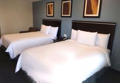 其他 6 SureStay Hotel by Best Western Chula Vista San Diego Bay