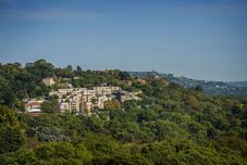 其他 Four Seasons Hotel The Westcliff, Johannesburg