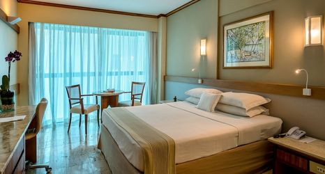 其他 2 Hotel Atlante Plaza