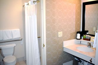 Lainnya 4 Courtyard by Marriott Denver South/Park Meadows Mall