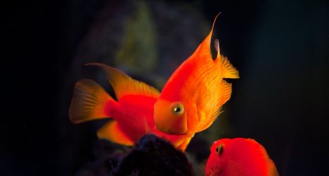 其他 2 Washington Plaza Hotel