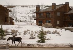 Others 5 Spring Creek Ranch