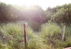 其他 5 BayVue Hotel, Resort and Suites