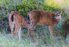 其他 4 BayVue Hotel, Resort and Suites