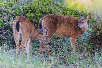 其他 4 BayVue Hotel, Resort and Suites