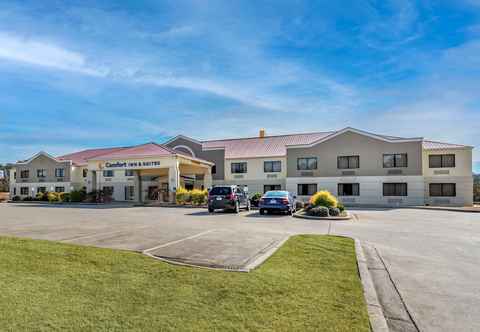 Others Comfort Inn & Suites Leeds I-20