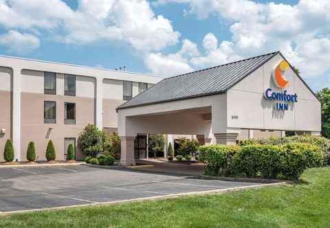 Others Comfort Inn