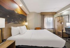 기타 3 Clarion Pointe Sevierville-Pigeon Forge