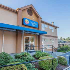 Primary image1Comfort Inn On the Bay,基察普县飯店