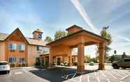 Others 7 Best Western Dallas Inn & Suites