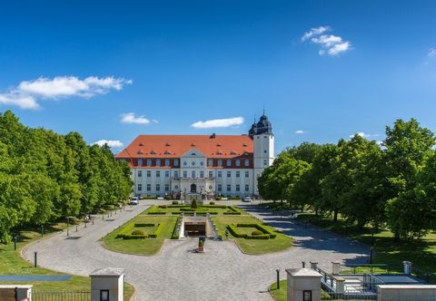 其他 SCHLOSS Fleesensee