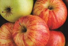 기타 5 La Quinta Inn by Wyndham Pigeon Forge-Dollywood