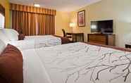 Lainnya 5 Best Western Plus Holland Inn & Suites