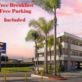 Primary image 1 Comfort Inn Sea World Area, Hotel Hotel Investment Group